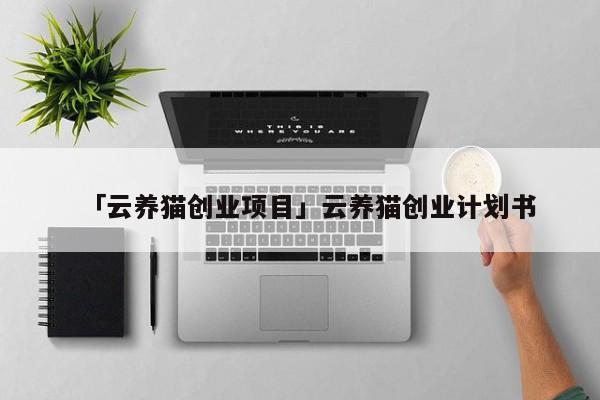 「云养猫创业项目」云养猫创业计划书