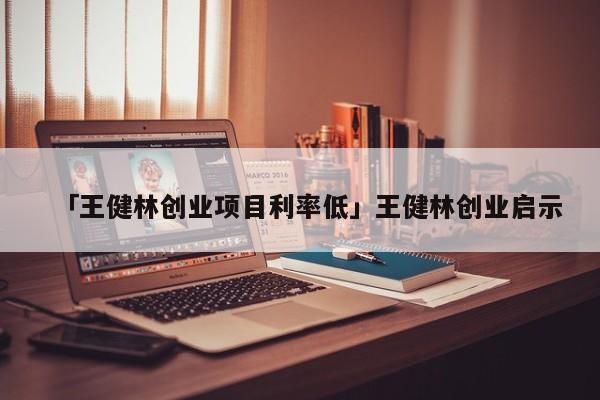 「王健林创业项目利率低」王健林创业启示