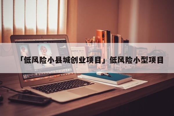 「低风险小县城创业项目」低风险小型项目