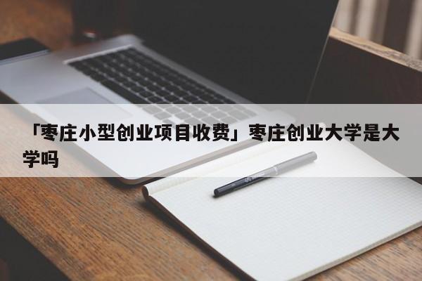 「枣庄小型创业项目收费」枣庄创业大学是大学吗
