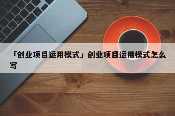 「创业项目运用模式」创业项目运用模式怎么写