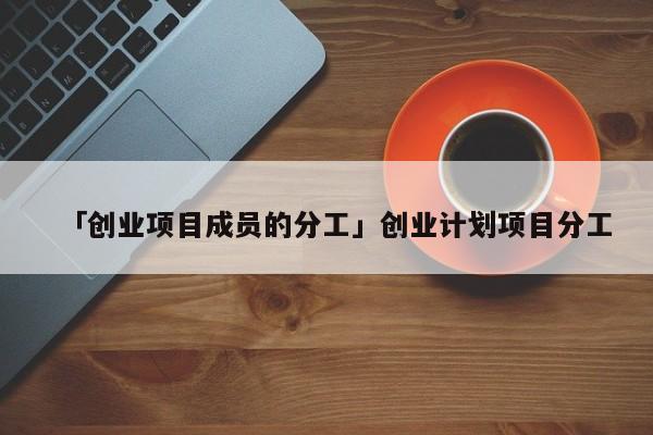 「创业项目成员的分工」创业计划项目分工