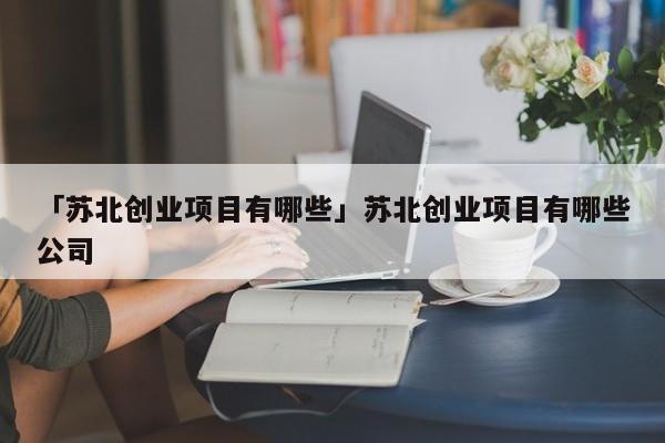 「苏北创业项目有哪些」苏北创业项目有哪些公司