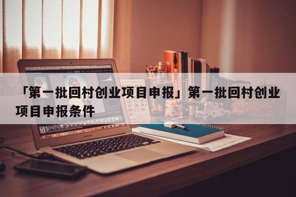 「第一批回村创业项目申报」第一批回村创业项目申报条件