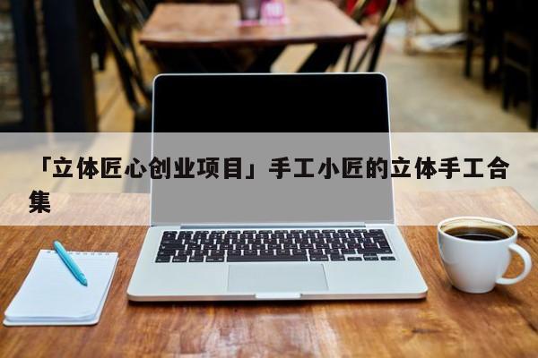 「立体匠心创业项目」手工小匠的立体手工合集