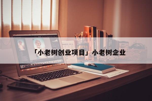 「小老树创业项目」小老树企业