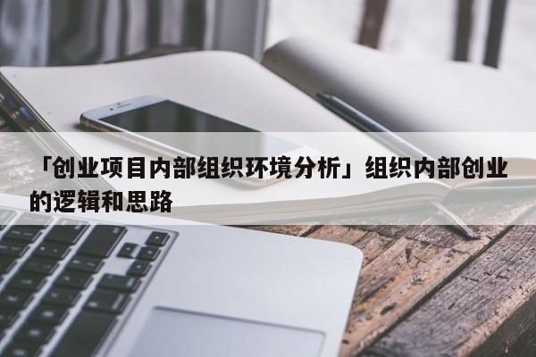 「创业项目内部组织环境分析」组织内部创业的逻辑和思路