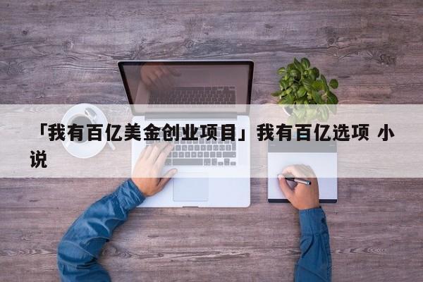 「我有百亿美金创业项目」我有百亿选项 小说