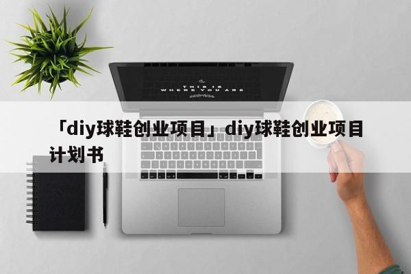 「diy球鞋创业项目」diy球鞋创业项目计划书