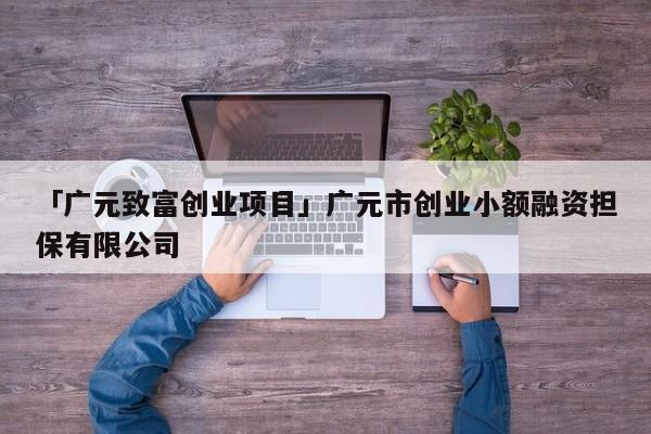 「广元致富创业项目」广元市创业小额融资担保有限公司