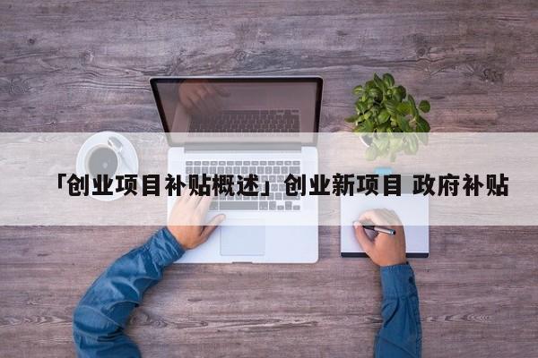 「创业项目补贴概述」创业新项目 政府补贴