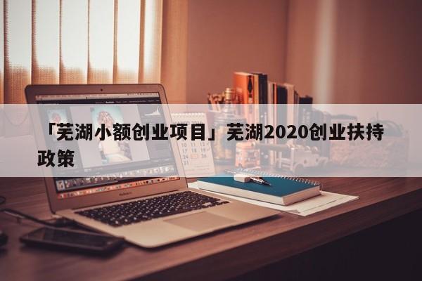 「芜湖小额创业项目」芜湖2020创业扶持政策