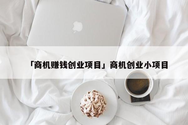「商机赚钱创业项目」商机创业小项目