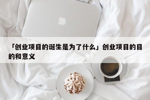 「创业项目的诞生是为了什么」创业项目的目的和意义