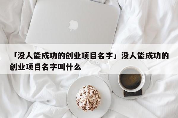 「没人能成功的创业项目名字」没人能成功的创业项目名字叫什么