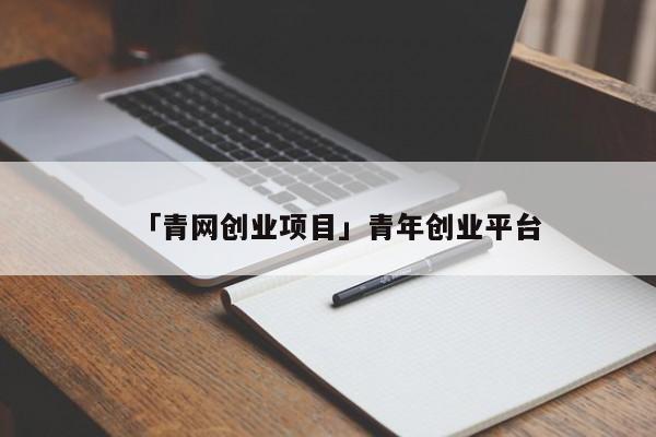 「青网创业项目」青年创业平台