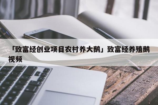 「致富经创业项目农村养大鹅」致富经养殖鹅视频