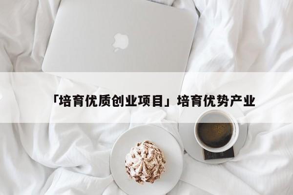 「培育优质创业项目」培育优势产业