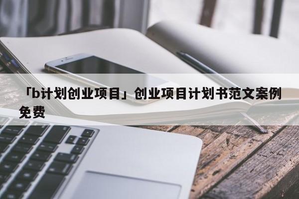 「b计划创业项目」创业项目计划书范文案例免费