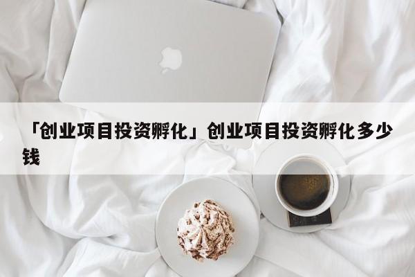 「创业项目投资孵化」创业项目投资孵化多少钱