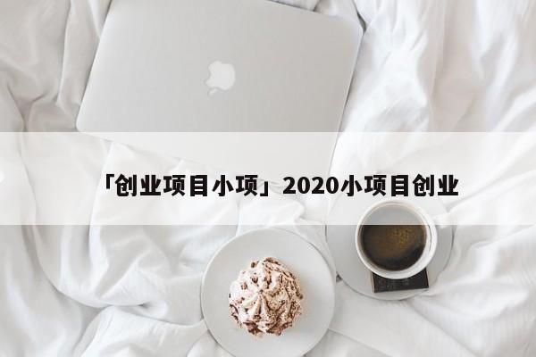「创业项目小项」2020小项目创业