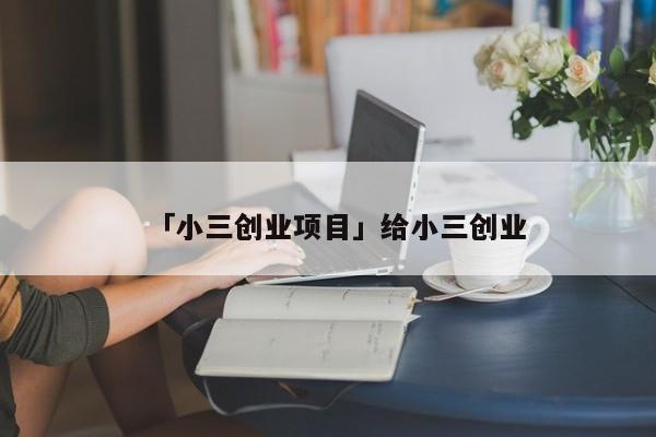 「小三创业项目」给小三创业