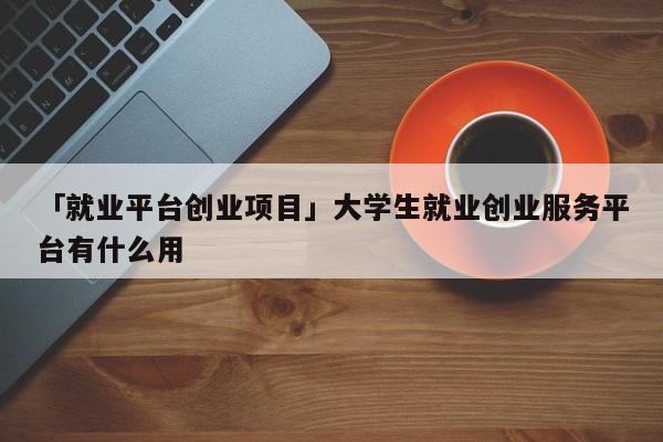 「就业平台创业项目」大学生就业创业服务平台有什么用