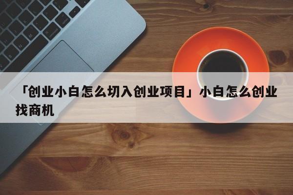 「创业小白怎么切入创业项目」小白怎么创业找商机