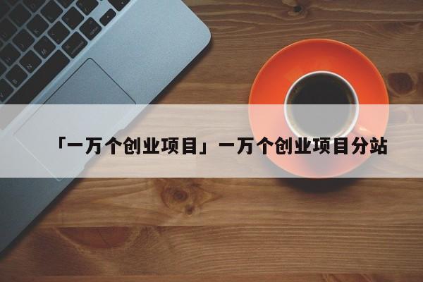 「一万个创业项目」一万个创业项目分站
