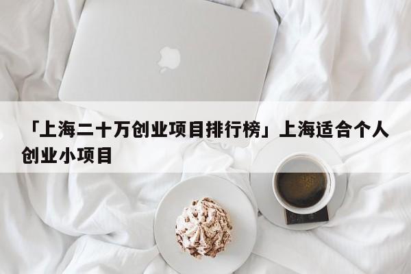 「上海二十万创业项目排行榜」上海适合个人创业小项目