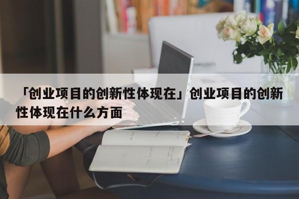 「创业项目的创新性体现在」创业项目的创新性体现在什么方面