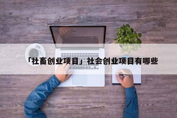 「社畜创业项目」社会创业项目有哪些