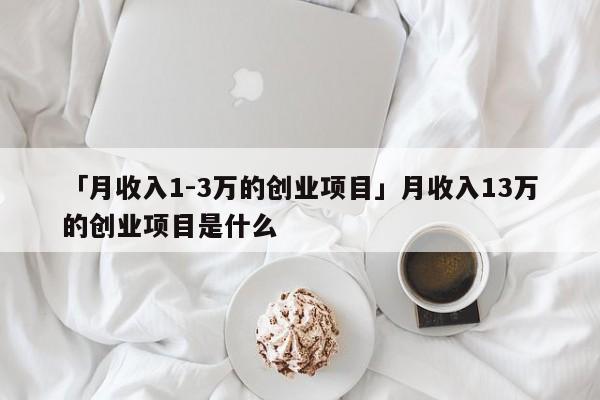「月收入1-3万的创业项目」月收入13万的创业项目是什么