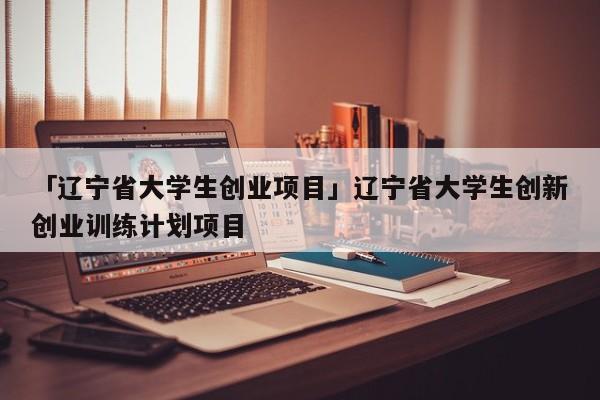 「辽宁省大学生创业项目」辽宁省大学生创新创业训练计划项目